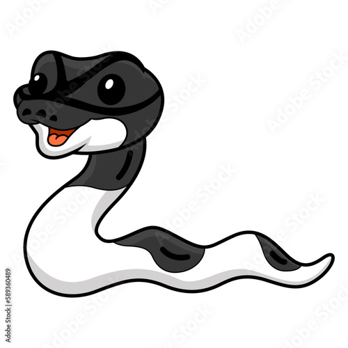 Cute panda pied ball python cartoon