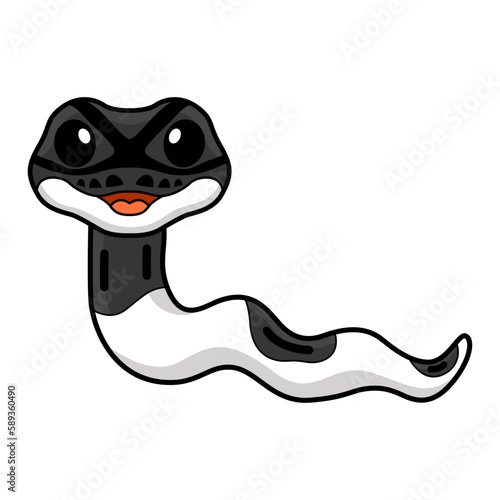 Cute panda pied ball python cartoon