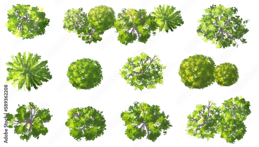 Vector watercolor of blooming tree top view isolated on white background for landscape plan and architecture drawing, elements for environment and garden,botanical elements ,blooming flowers in spring