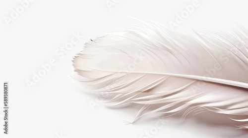 Feather Decorated Corner on White Background, Made with Generative AI