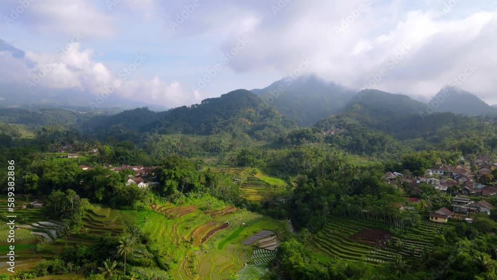 custom made wallpaper toronto digitalAerial view of rural landscape in Indonesia. Countryside with beautiful rice field with forest on hill on the background - Rural landscape of Indonesia