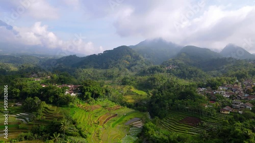 Wallpaper Mural Aerial view of rural landscape in Indonesia. Countryside with beautiful rice field with forest on hill on the background - Rural landscape of Indonesia Torontodigital.ca
