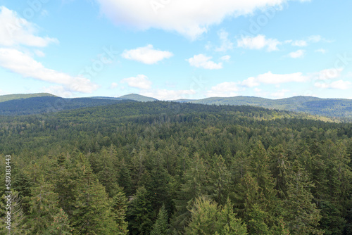 Mountain and tree panorama view with summit Lusen seen from Treetop Walk Bavarian Forest in Bavarian Forest National Park, Germany