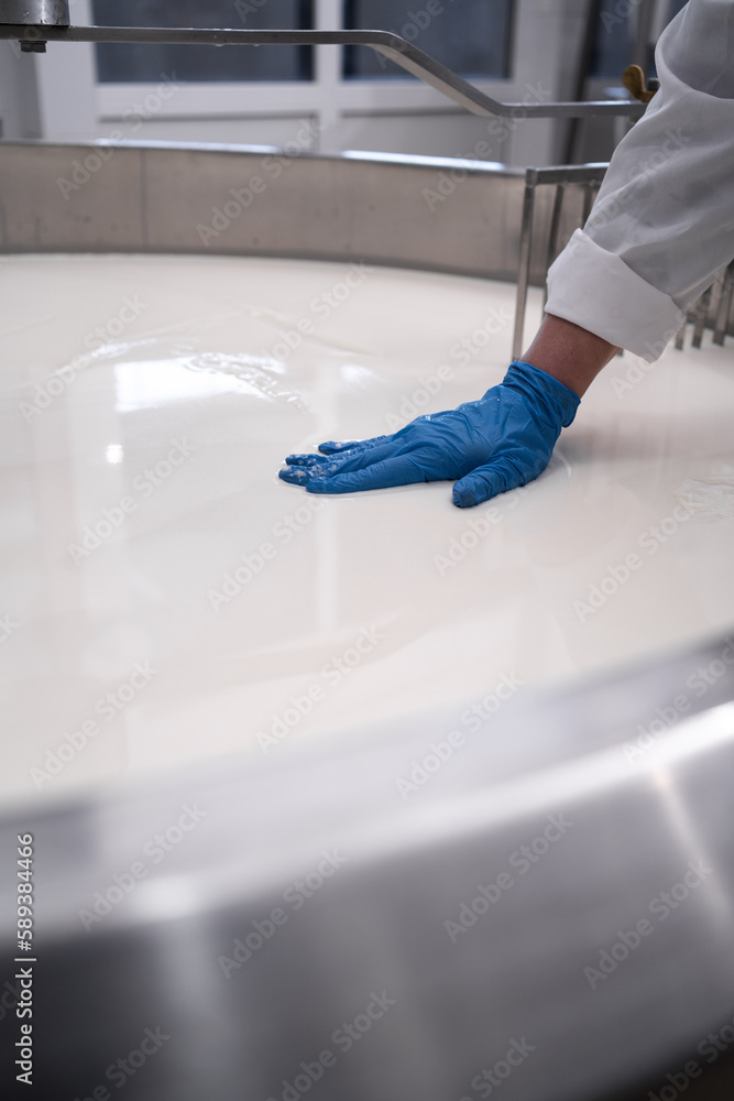Cheese maker test first sequence of cheese making. Curdled milk brought to high temperature for production in dairy company Cheese maker test first sequence of cheese making. Curdled milk brought to high temperature for production in dairy company