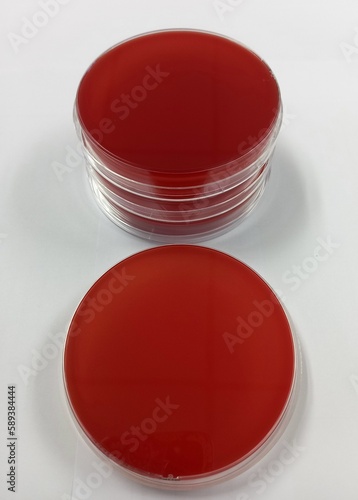 Blood agar, petri dish, isolated on white background - columbia blood agar photo