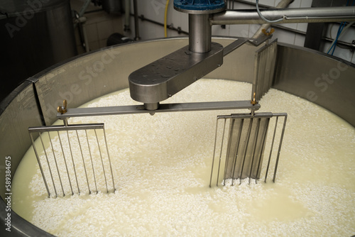 Curd and whey in tank at cheese factory, top view. Cheese making as a business