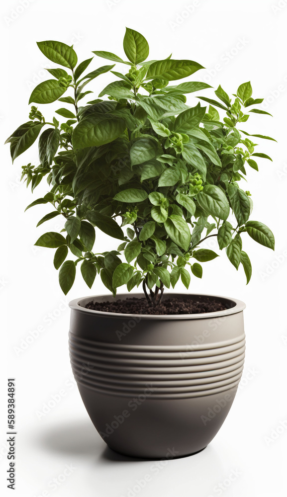 Fototapeta premium Jungle Vibes, Lush House Plants in Pottery Pots, Isolated on White Background - Generative AI