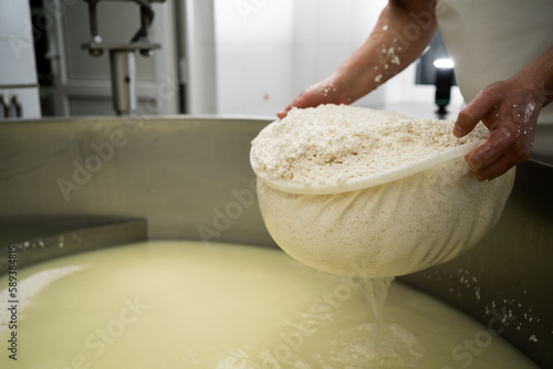 A cheesemaker prepares a form of Parmesan cheese using fresh curd. Cheese-making, separating the curds and whey.