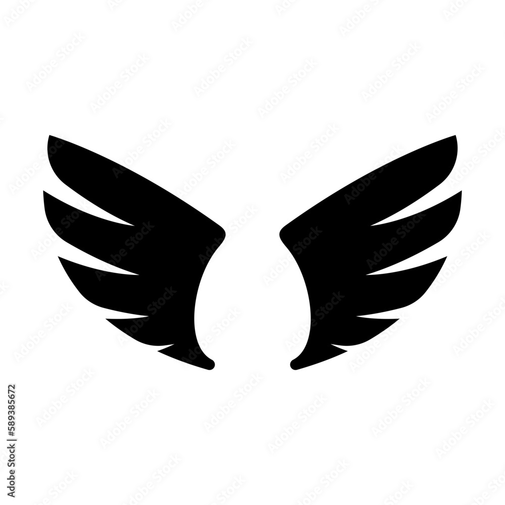 Obraz premium angel wings in heaven hawk feather wing pattern