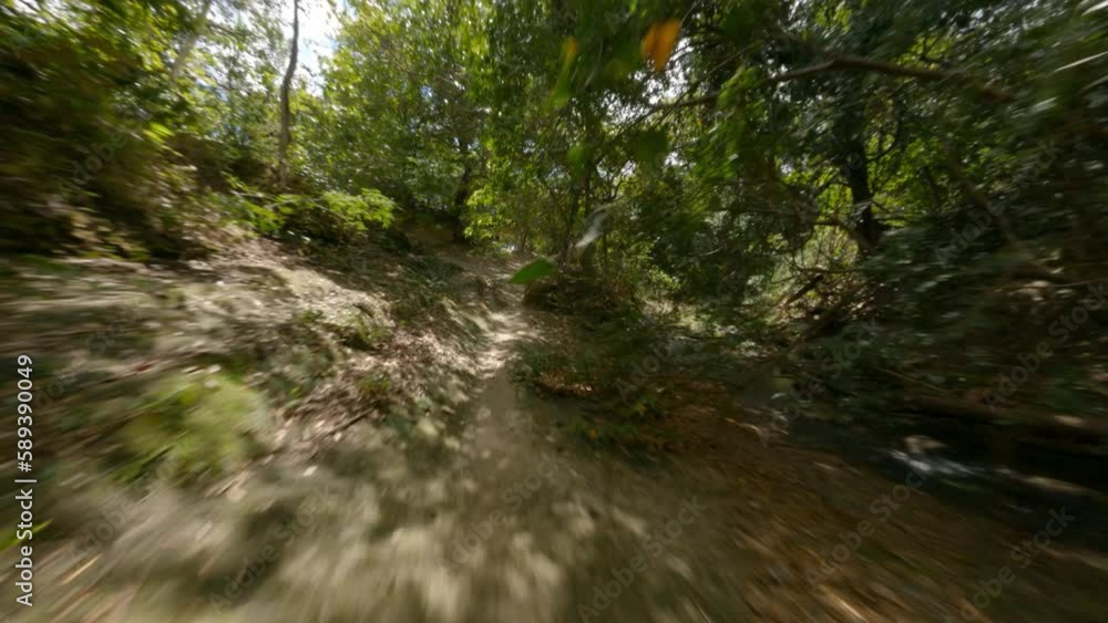 Cinematic FPV drone flying fast through thick dense wild rainforest Cinematic FPV drone flying fast through thick dense wild rainforest