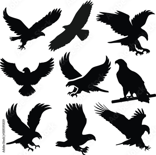 eagle silhouette  falcon head silhouette  flying hawk silhouette   eagle eye silhouette  bald eagle silhouette  white and black eagle silhouette vector files