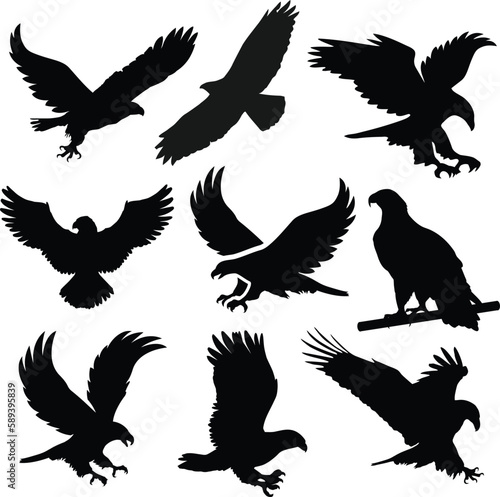 eagle silhouette, falcon head silhouette, flying hawk silhouette,  eagle eye silhouette, bald eagle silhouette, white and black eagle silhouette vector files