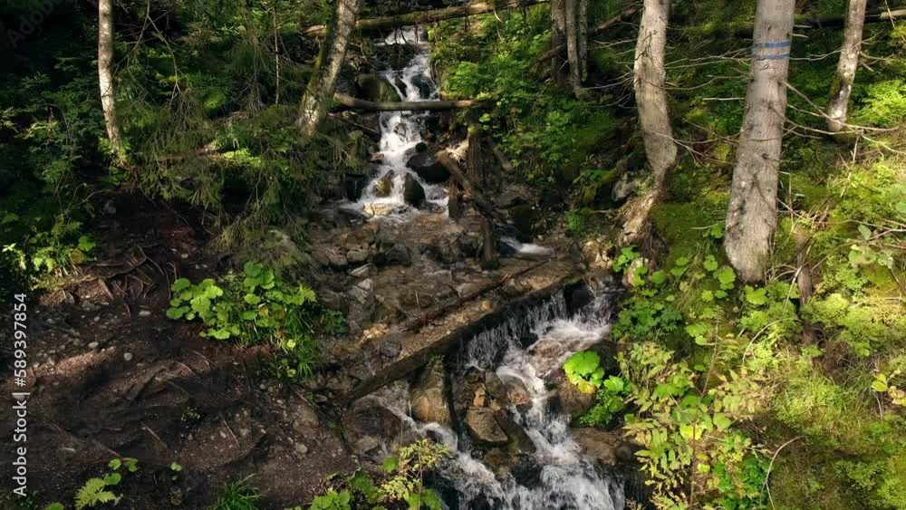 Waterfall in forest between green trees on the way to Morskie oko in Poland. Nature river waterfall forest. Forest, flowing river, fallen leaves, mossy rocks in Tatras mountain stream National Park 4k Waterfall in forest between green trees on the way to Morskie oko in Poland. Nature river waterfall forest. Forest, flowing river, fallen leaves, mossy rocks in Tatras mountain stream National Park 4k
