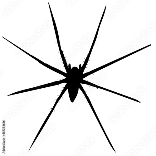 spider silhouette with hairy legs