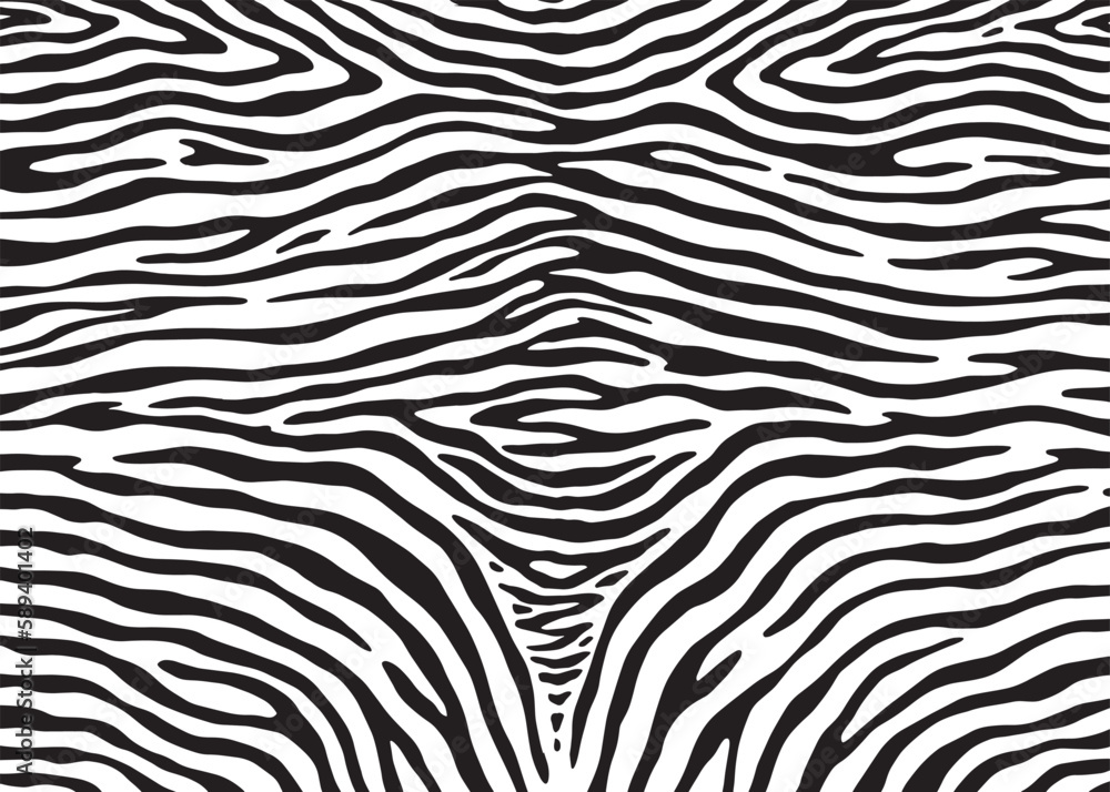 Zebra print pattern design. Vector illustration background.