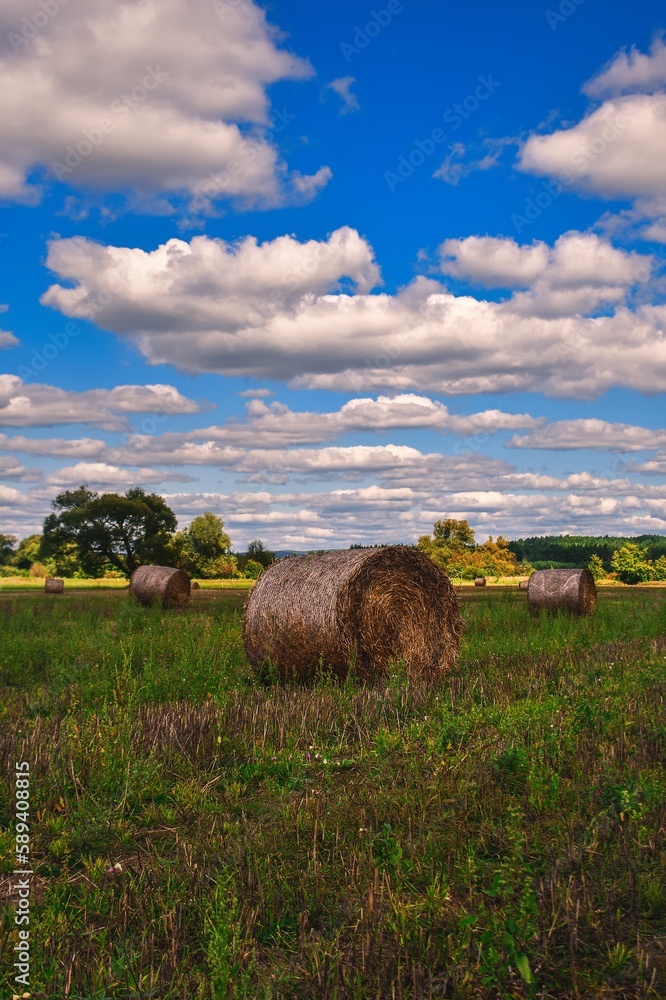 Beautiful summer rural landscape. Hay in a field with a blue sky in the background.