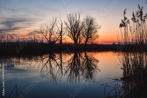 Beautiful summer evening landscape. Dry tree and grass reflecting in the river. Photo taken in Pinczow, Poland.