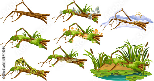 Cartoon broken tree in moss in swamp jungle. Stump with liana branches, ivy, cattails, bulrush. Log in honey mushrooms, under snow, with fungus. Isolated vector elements game on white background.