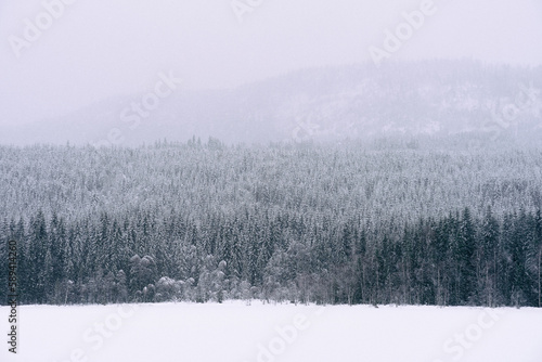 Snowy weather by the Høversjøen Lake, part of the Totenåsen Hills in Norway.