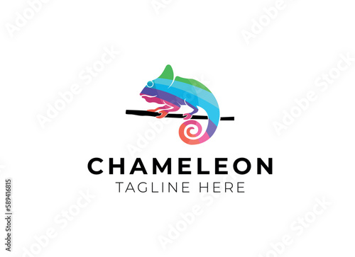 colorful chameleon logo design vector