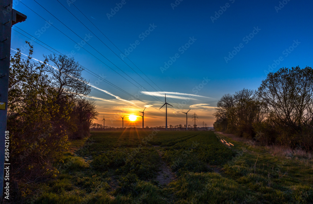 Fototapeta premium Windräder im Sonnenaufgang bei blauem Himmel