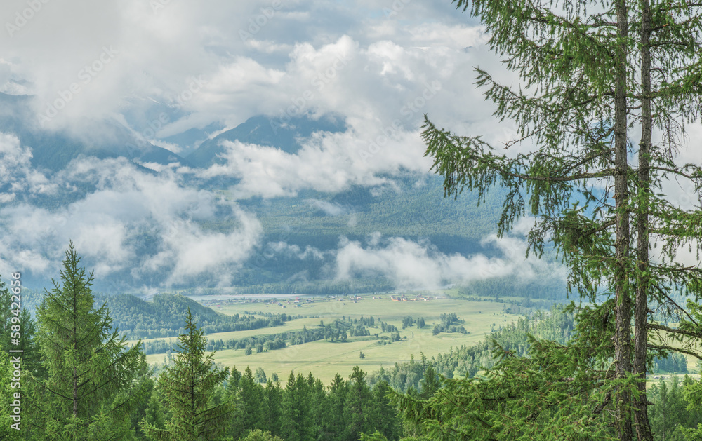 Fototapeta premium Foggy morning in the mountains, cloudy weather, summer travel