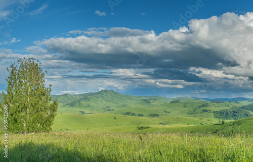 View of a summer day in the mountains  green meadows  mountain slopes and hills  countryside