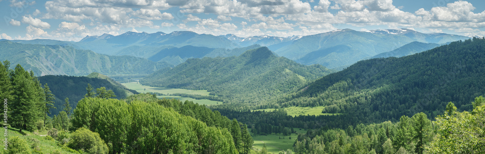 Fototapeta premium View of the mountain valley, summer greenery, sunny day, panoramic view