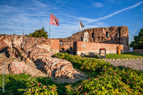 Ruins of castle in Torun, Kuyavian-Pomeranian Voivodeship, Poland	