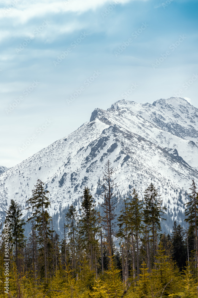 Mountain peak covered with snow. Green spruces in the foreground. Blue sky. View from the green trail to Rusinowa Polana. Tatra Mountains, Poland Mountain peak covered with snow. Green spruces in the foreground. Blue sky. View from the green trail to Rusinowa Polana. Tatra Mountains, Poland