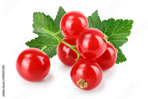 Red currant berry isolated on white background