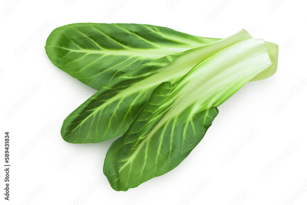 Organic fresh chard plant isolated on white background with full depth of field Organic fresh chard plant isolated on white background with full depth of field
