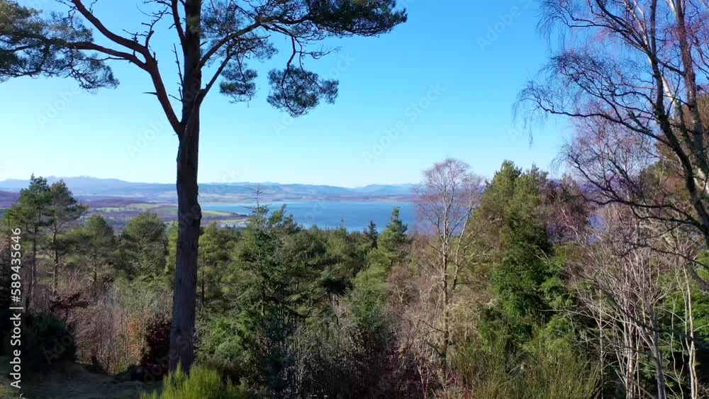 Aerial shot flying through trees looking out towards Beauly Firth, Scotland Aerial shot flying through trees looking out towards Beauly Firth, Scotland