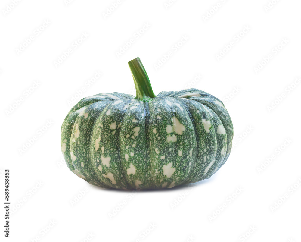 Single fresh green pumpkin with strange pattern isolated on white background with clipping path Single fresh green pumpkin with strange pattern isolated on white background with clipping path