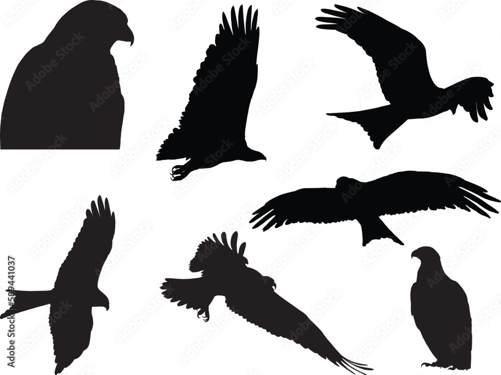 Obraz premium set of silhouettes of birds