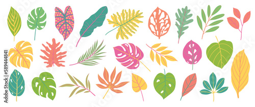 Summer tropical leaves vector set. Colorful botanical exotic foliage, palm leaves with hand drawn style isolated on white background. Plants element illustrated Design for decoration, print.