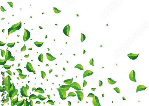 Grassy Greens Fly Vector White Background. Swirl