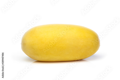 Timun suri isolated on white background