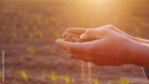 Valokuva The hands of a farmer with fertile land. Organic farming concept