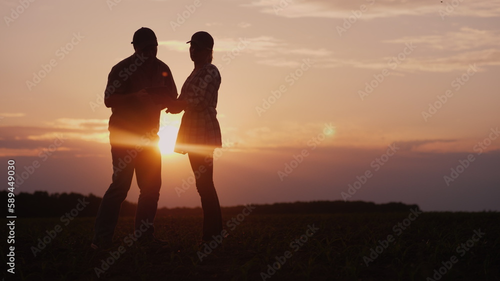 Two farmers work in the field in the evening at sunset. A man and a woman discuss something, use a tablet.