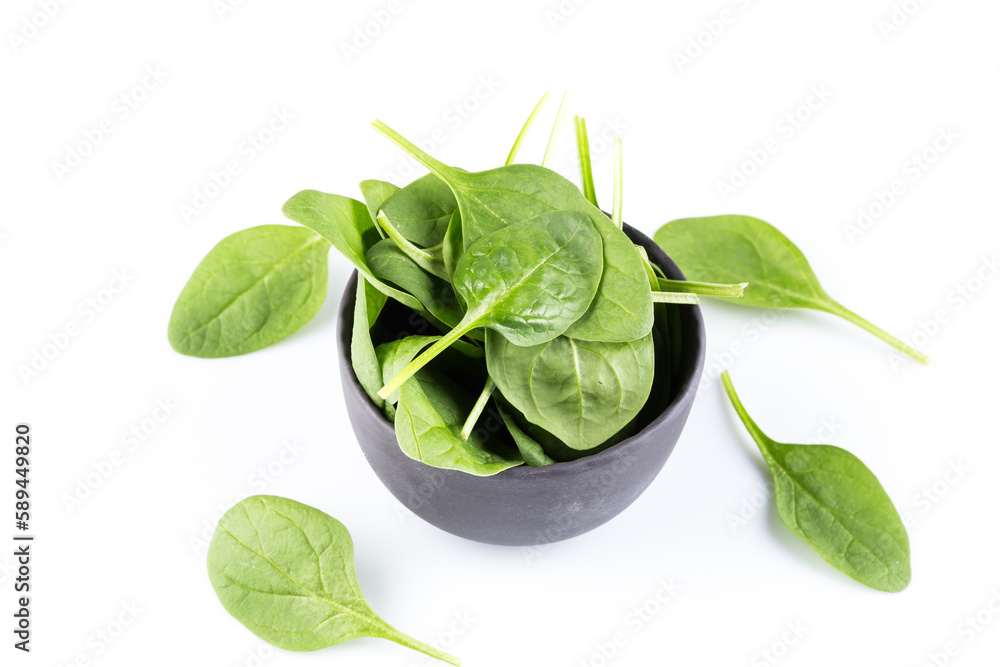 Fototapeta premium Green spinach on a white background