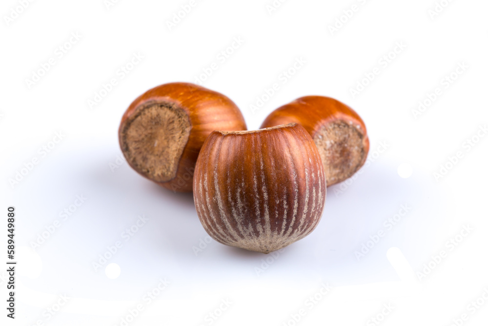 Obraz premium Hazelnuts on white