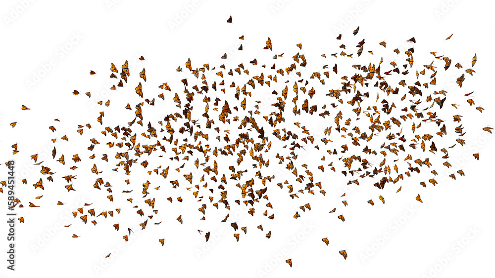 monarch butterflies swarm, migrating insects isolated on transparent background