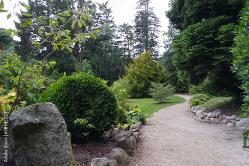 Winding path in Powerscourt Gardens, Co. Wicklow, Ireland, with many trees. photo