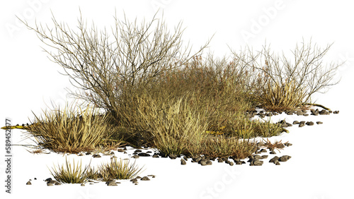 desert scene cut-out, dry plants isolated on transparent background