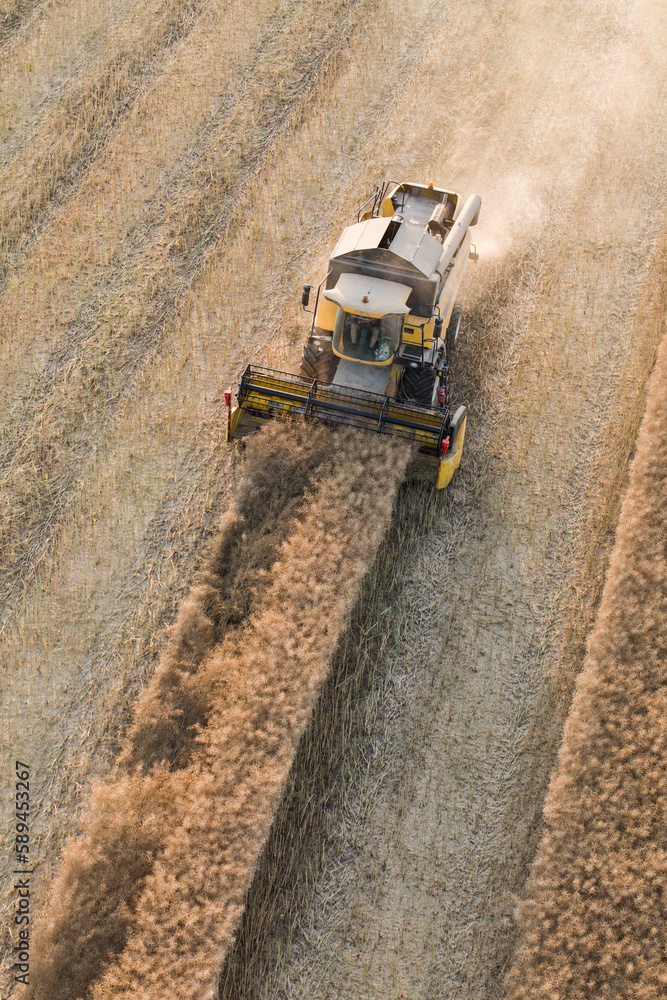 aerial view of the harvester on the field. aerial view of the harvester on the field.