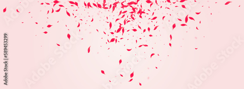 Scarlet Rose Vector Pink Panoramic Background.