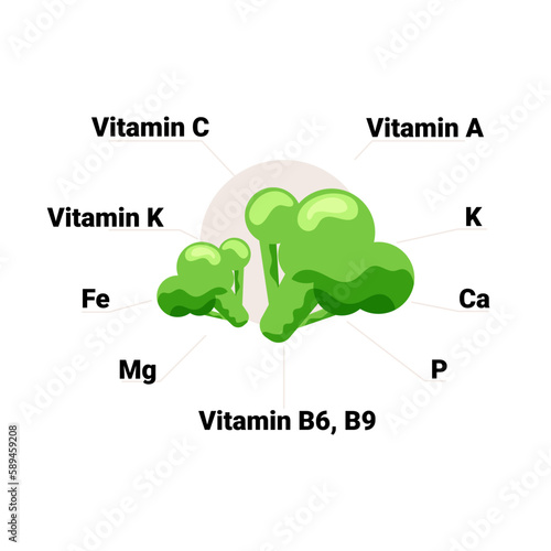 Vector broccoli with its vitamins and minerals, including vitamin C, A, K, B6, B9, folate, magnesium, potassium, phosphorus, calcium, iron. Educational health benefits illustration.