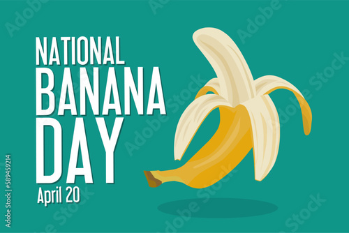 National Banana day April 20 vector illustration, suitable for web banner, poster or card campaign