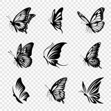 Vector Monochrome Black and White Hand Drawn Butterfly Icon Set Isolated. Butterflies Collection, Vintage Vector Design Elements of Butterfly Silhouettes